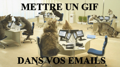 Pourquoi utiliser les GIFs dans vos campagnes d’emailing ? img