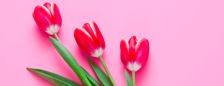 Festa della mamma: newsletter efficaci ed esempi img