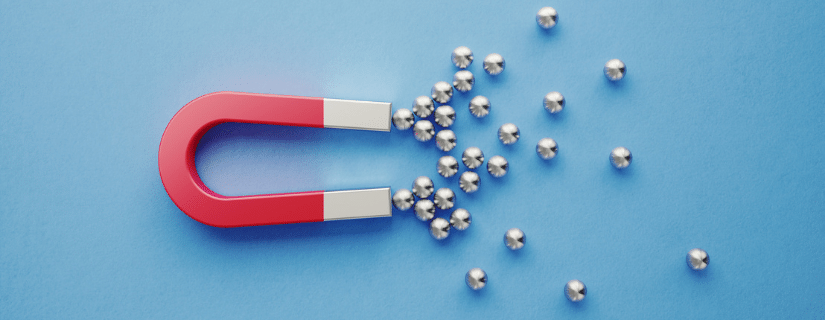 3 Lead Magnet Ideas and Examples [Beyond Basic Downloadables] to Grow Your Email List img