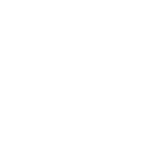 Das Bolt-Logo