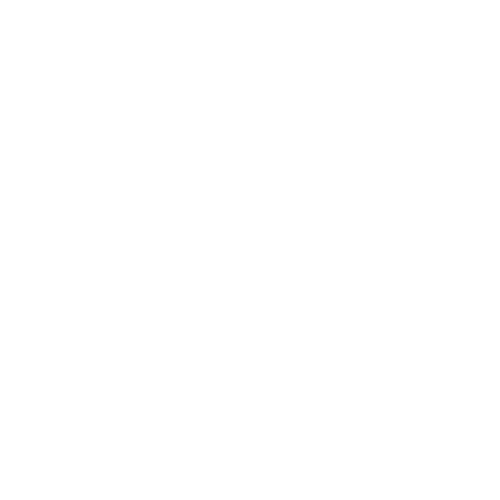 Das Grok Bot-Logo in Weiß