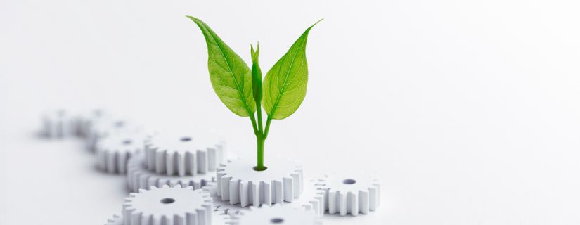 ¿Cuánto cuesta hacer email marketing? Precios 2025 img