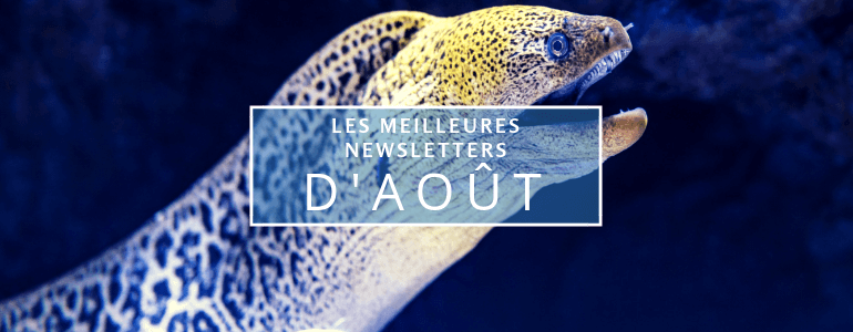 Inspiration : les meilleures newsletters d'août 2018 img