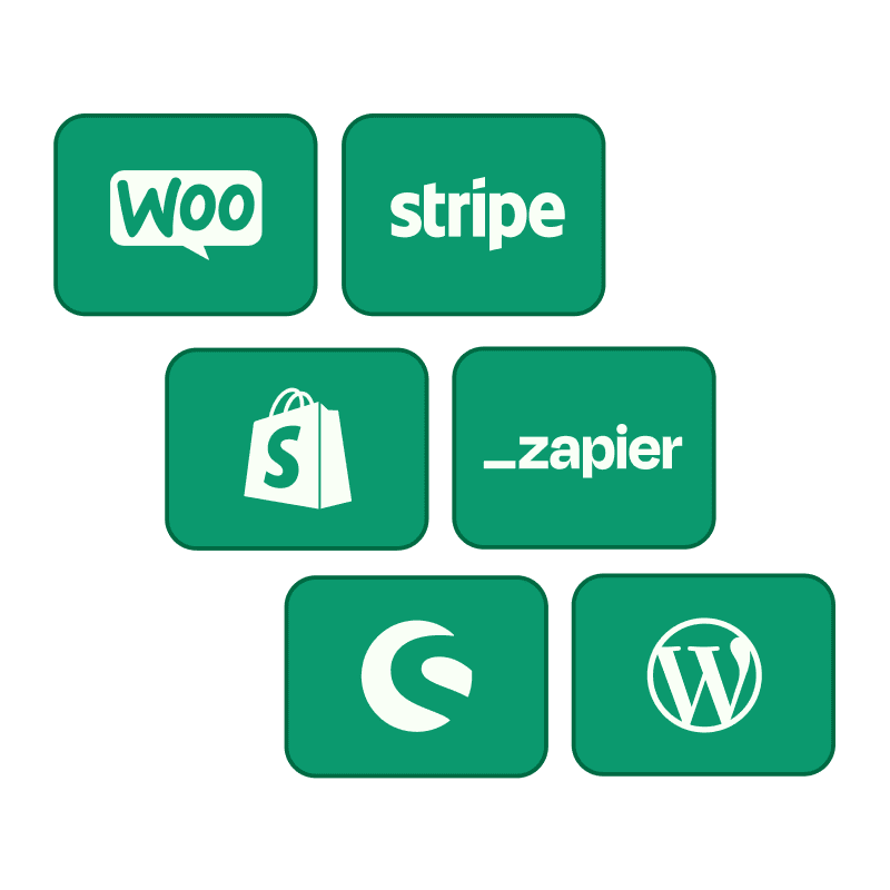 Extensive Integration Network Extensive Integration Network