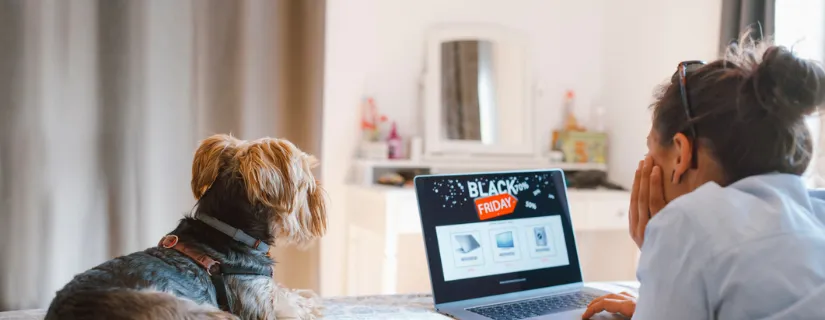 11 Black Friday Email Examples to Grow Your Business img