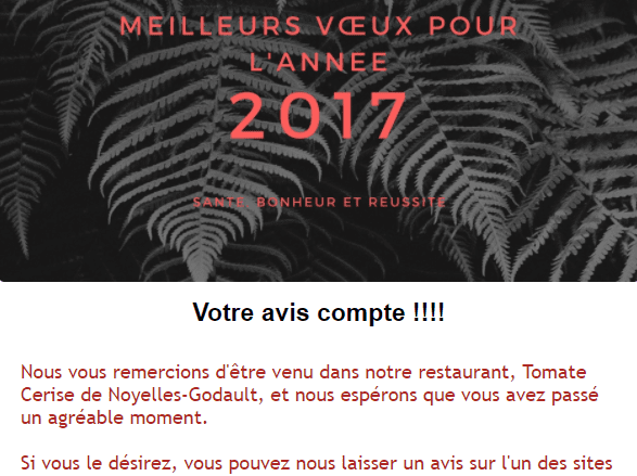 Une célébration de l'année passée est une bonne occasion de faire le point Newsletter restaurant de nouvel an